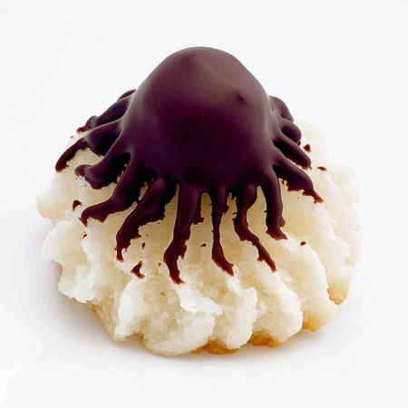 chocolate coconut macaroon